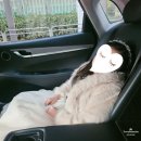 화동 | 32개월 아기 결혼식 화동 후기 (feat. 분홍색정장 by 드레스로렌)