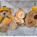 켄싱턴 리조트 서귀포(Kensington Resort Seogwipo) | 선택(제주투어패스 VS 제주올패스), 포항경주공항, 메종 글래드 제주, 켄싱턴리조트 서귀포, 롯데렌트카