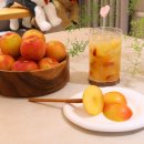 카페포모사 | 김천 후무사 자두 후숙 보관 방법 기간 자두청 만들기 자두에이드 포모사 자두