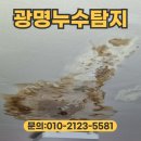광명금속 | 광명누수탐지 철산동 천장 물샘 배관공사 후기