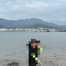 통영풍차마을튜울립펜션 | 통영 아이랑 무료갯벌체험 튜울립펜션 가성비 숙소