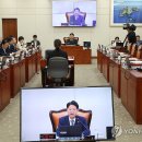 김영호 카카오 검색결과