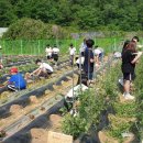 인의초교 이미지