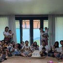 감꽃향흩날리는 이미지