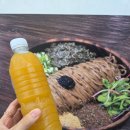 효성이네열무냉면 | 판교 냉면 맛집 이관복명장냉면 물비빔냉면 기름냉면 후기