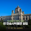 개멋 | 빈 미술사 박물관 비엔나 미술사박물관 예약 입장료 가는 방법 비엔나 여행 필수코스 비엔나패스
