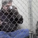 강아지 마음 이미지