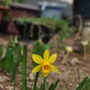 안이하우스 이미지