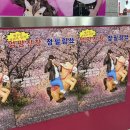 (주)정필 | 요즘 핫한 공연 다녀옴🔥 엉망진창 정필링쑈 서울 첫 관람 리뷰