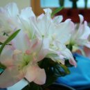 B & B 골프연습장 이미지