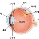 전기통천 이미지