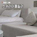 스카리아 이미지