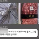 더담은정육점