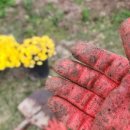 중평마을회관 이미지