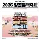 [일원2] 클래식, 시대를 보고듣다 | 광주 양동통맥축제 2026 일정 및 라인업! 천원 맥주 가격, 주차, 후기 꿀팁