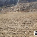 [양평군 지평면 대평리] 양평TPC골프장 앞 토지 매매 이미지