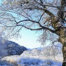 거창-위천-4 이미지