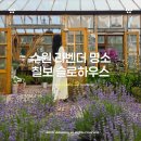 칠보농장 | 6월 꽃구경 나들이 수원 슬로 칠보하우스 라벤더 축제