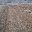 웅담주유소 이미지