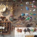 감포은정복어횟집 이미지