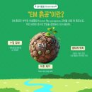 [비욘드 17기 후기 ep.5] 지구야, 아프지마! ( 비욘드 8월 활동 )