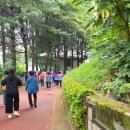 만덕3동-5 이미지