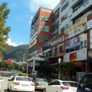 사림동287 이미지