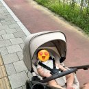 이루이비인후과의원 네이버블로그