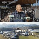 해선목장 스포츠조선