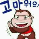 청양친환경블루베리농장