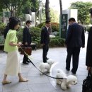 “김건희 무차별 공격… 한 여성 발가벗겨 광화문 세워놓고 짱돌 던지는 것” 이미지