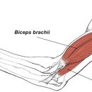 바디 스타일리스트 이미지