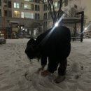 자야또뽀끼 | ONG’s Febuary (1탄)