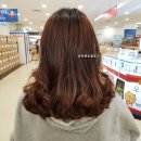 승철목장 | [커트 후기] 하니 중단발 컷 - 박승철 헤어스투디오 계산홈플러스점