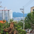 월영동210 이미지