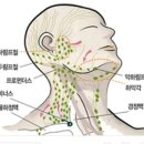 한에스테틱 - 중구 | 한에스테틱