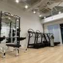 나무트레이닝 이미지