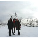 고드름축제장 이미지