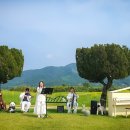 꽃 음악회 이미지