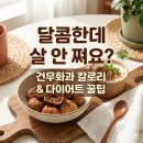 온빛채식물의학 | 건무화과 효능 칼로리 먹는 법 한 번에 정리, 이런 분께 특히 추천해요!