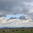 선양 목장 이미지