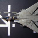 ACE 1/144 F-14D Super Tomcat "Bounty Hunters" 이미지