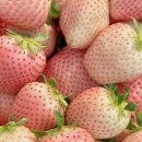 (주)원스텝 이미지