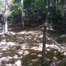 혜인농장 이미지