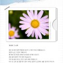 지금이순간 이미지