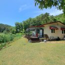 내인생의 봄날 이미지