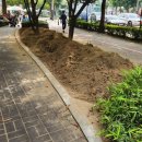 장수공원 이미지