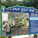 카페위드숲