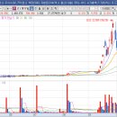 로터스카스코리아 주식회사 | 코오롱모빌리티그룹 (450140)