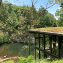 자연의 꿈 이미지